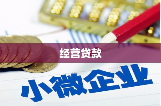 关岭经营贷款