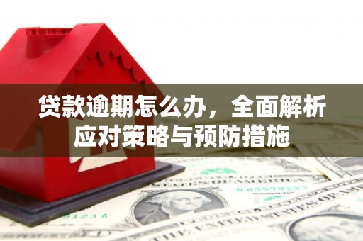 关岭贷款逾期怎么办，全面解析应对策略与预防措施
