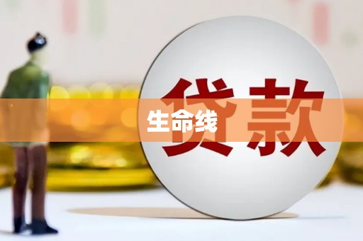 关岭生命线