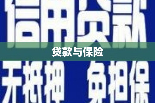 关岭贷款与保险