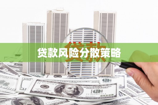 关岭贷款风险分散策略