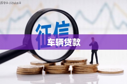 关岭车辆贷款