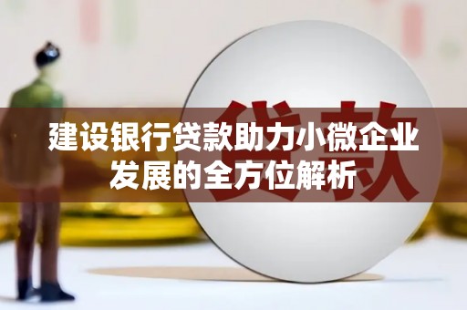 关岭建设银行贷款助力小微企业发展的全方位解析