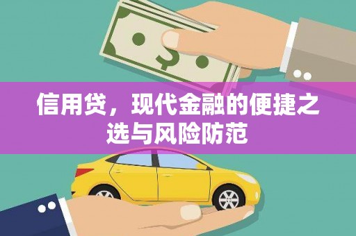 关岭信用贷，现代金融的便捷之选与风险防范