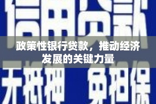 关岭政策性银行贷款，推动经济发展的关键力量