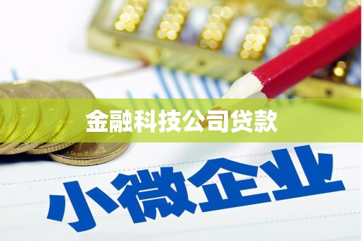关岭金融科技公司贷款