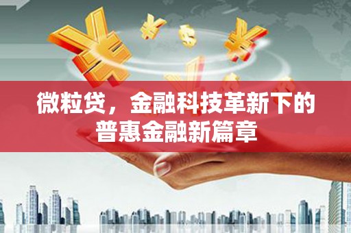 关岭微粒贷，金融科技革新下的普惠金融新篇章