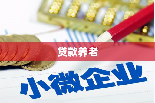 关岭贷款养老