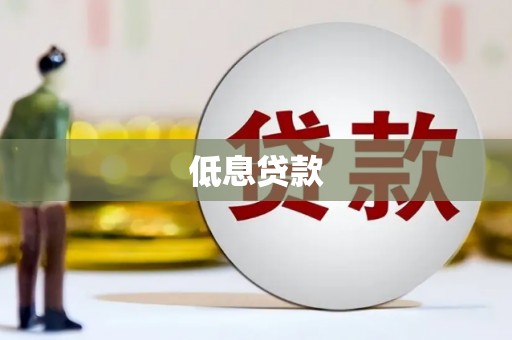 关岭低息贷款