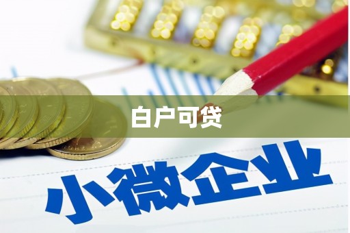 关岭白户可贷