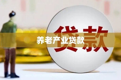 关岭养老产业贷款