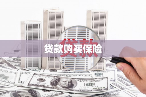 关岭贷款购买保险