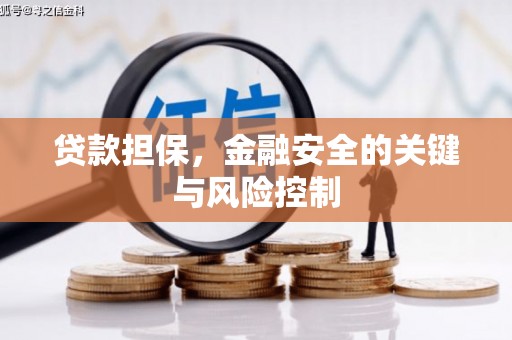 关岭贷款担保，金融安全的关键与风险控制