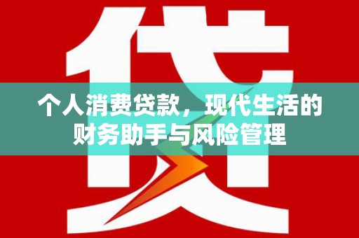 关岭个人消费贷款，现代生活的财务助手与风险管理