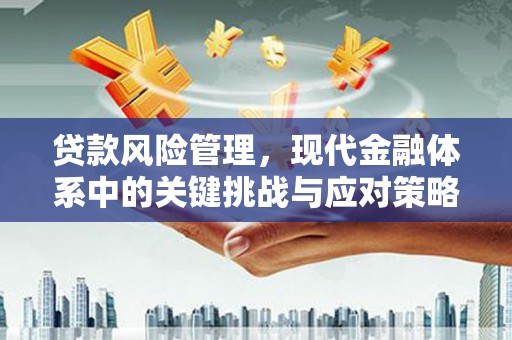 关岭贷款风险管理，现代金融体系中的关键挑战与应对策略