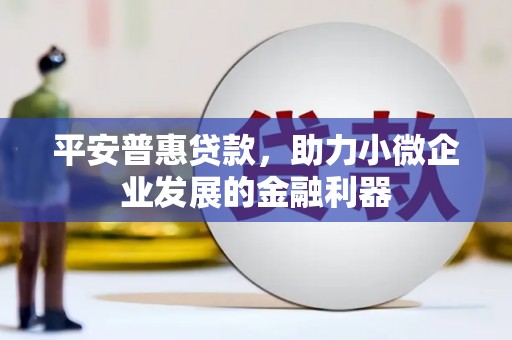 关岭平安普惠贷款，助力小微企业发展的金融利器