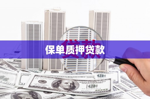 关岭保单质押贷款