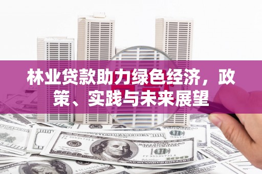 关岭林业贷款助力绿色经济，政策、实践与未来展望