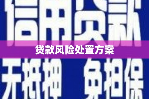 关岭贷款风险处置方案