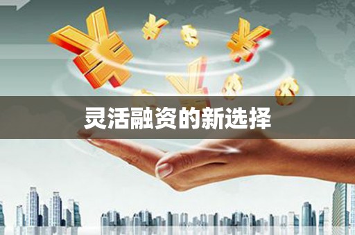 关岭灵活融资的新选择