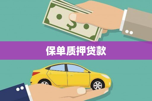 关岭保单质押贷款