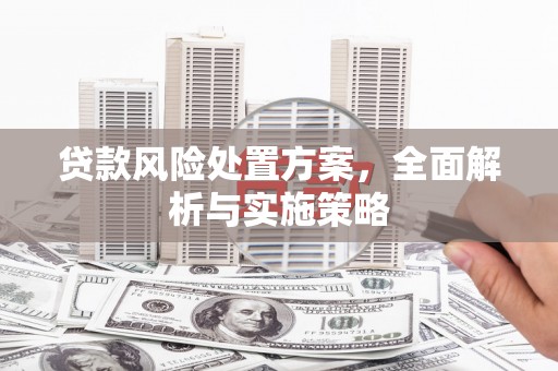 关岭贷款风险处置方案，全面解析与实施策略